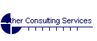 Other Consulting Services
